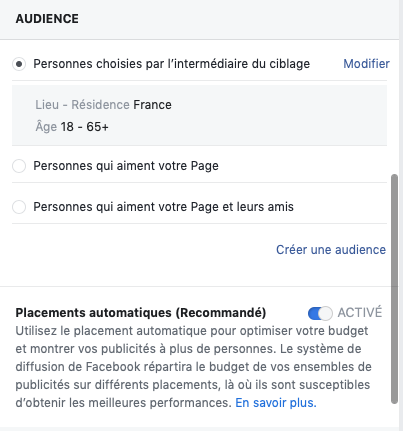 audience-publication-sponsorisee-facebook