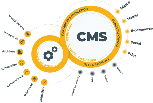 Schéma CMS et avec différentes données